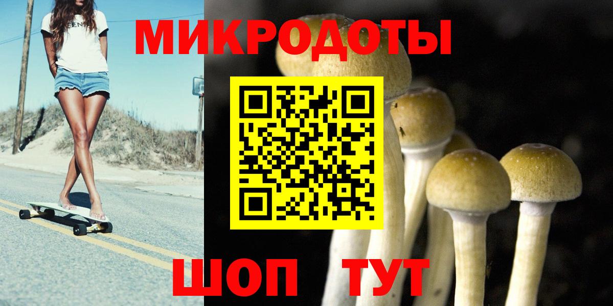 Чехов  Галлюциногенные грибы GOLDEN TEACHER  Вход с VPN 